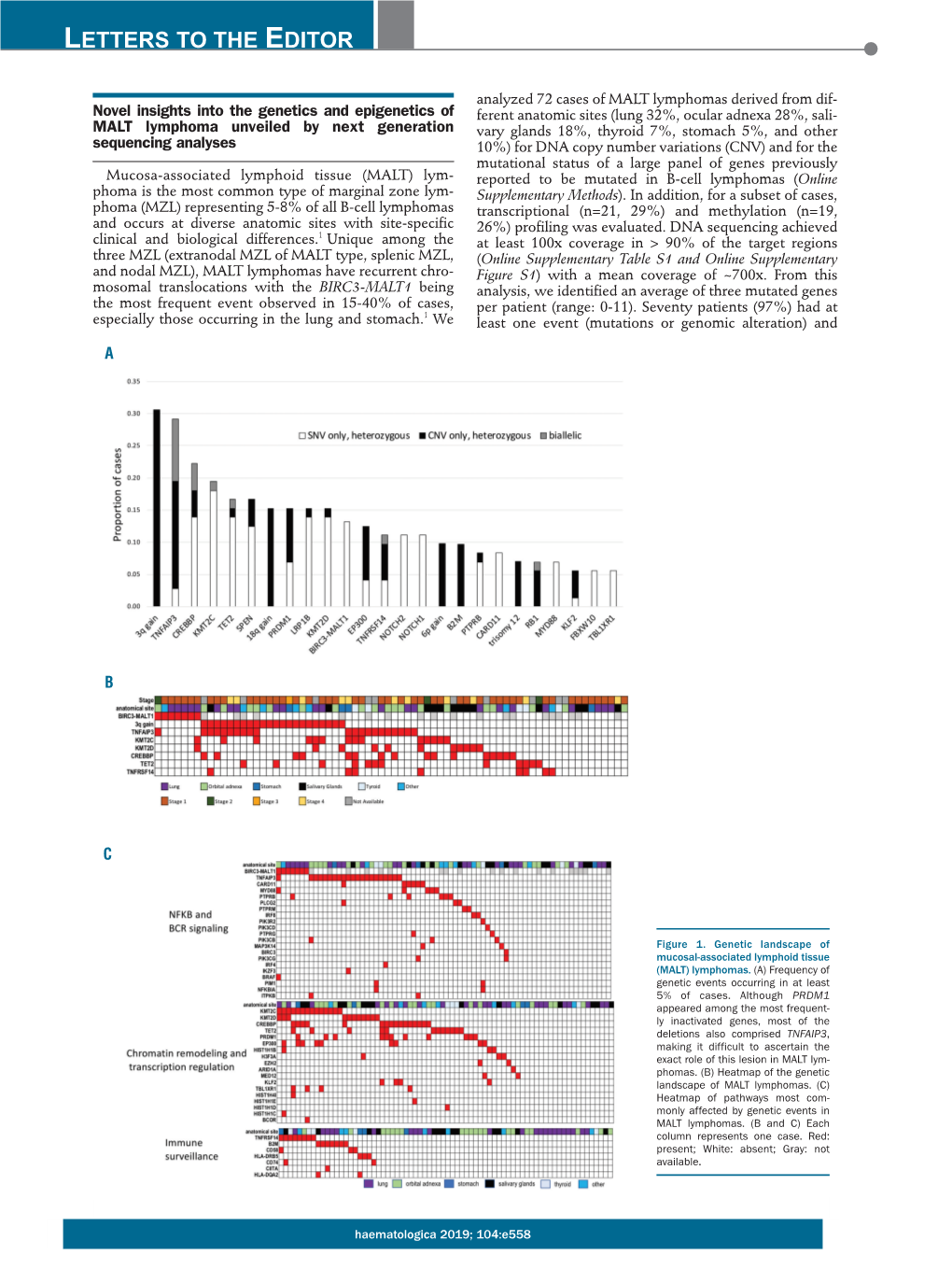 Novel Insights Into the Genetics and Epigenetics of MALT Lymphoma