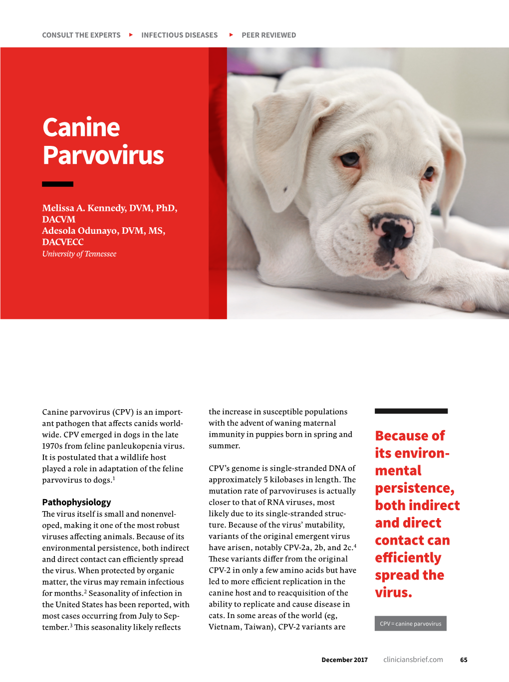 Canine Parvovirus