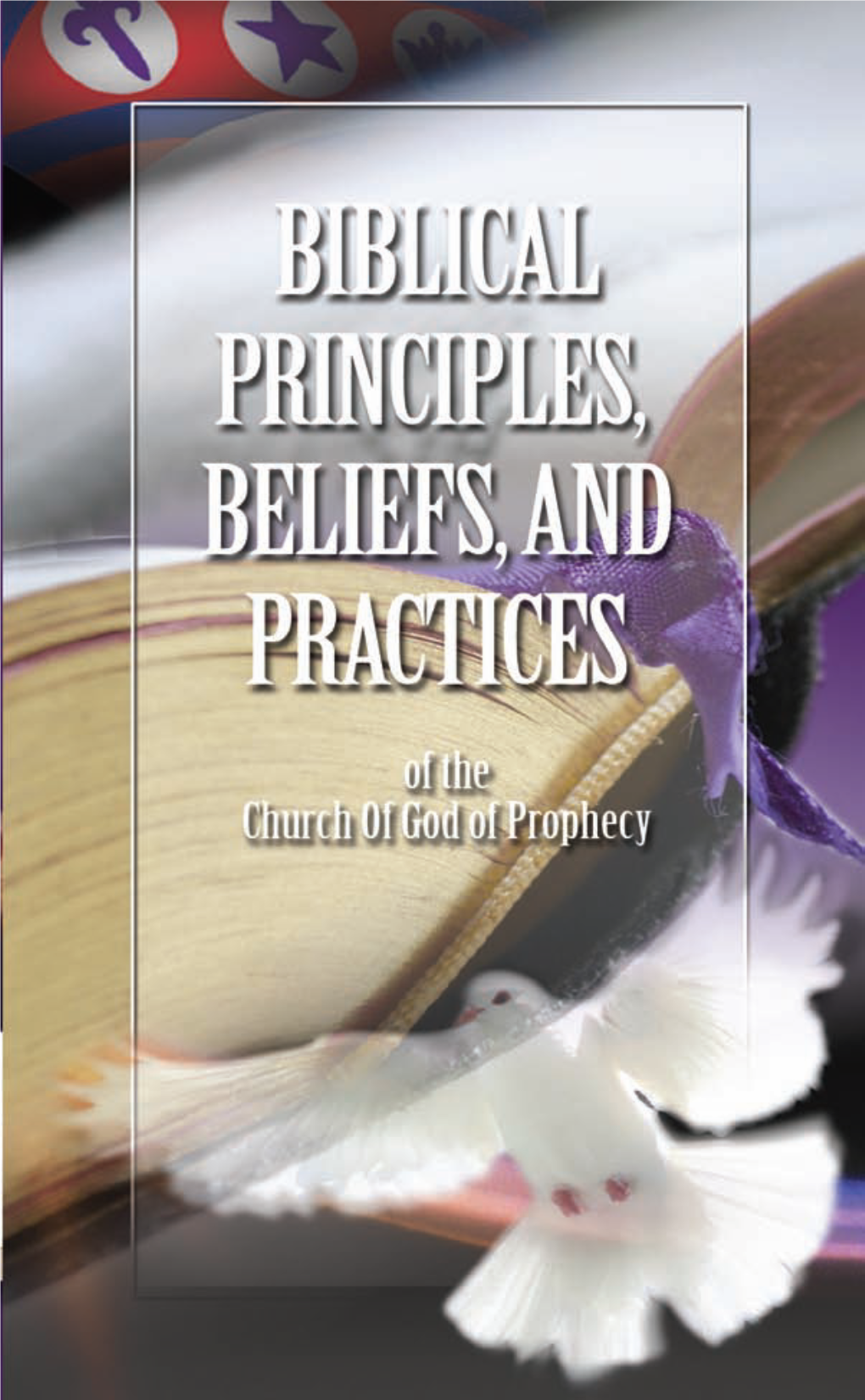 Biblical-Principles.Pdf