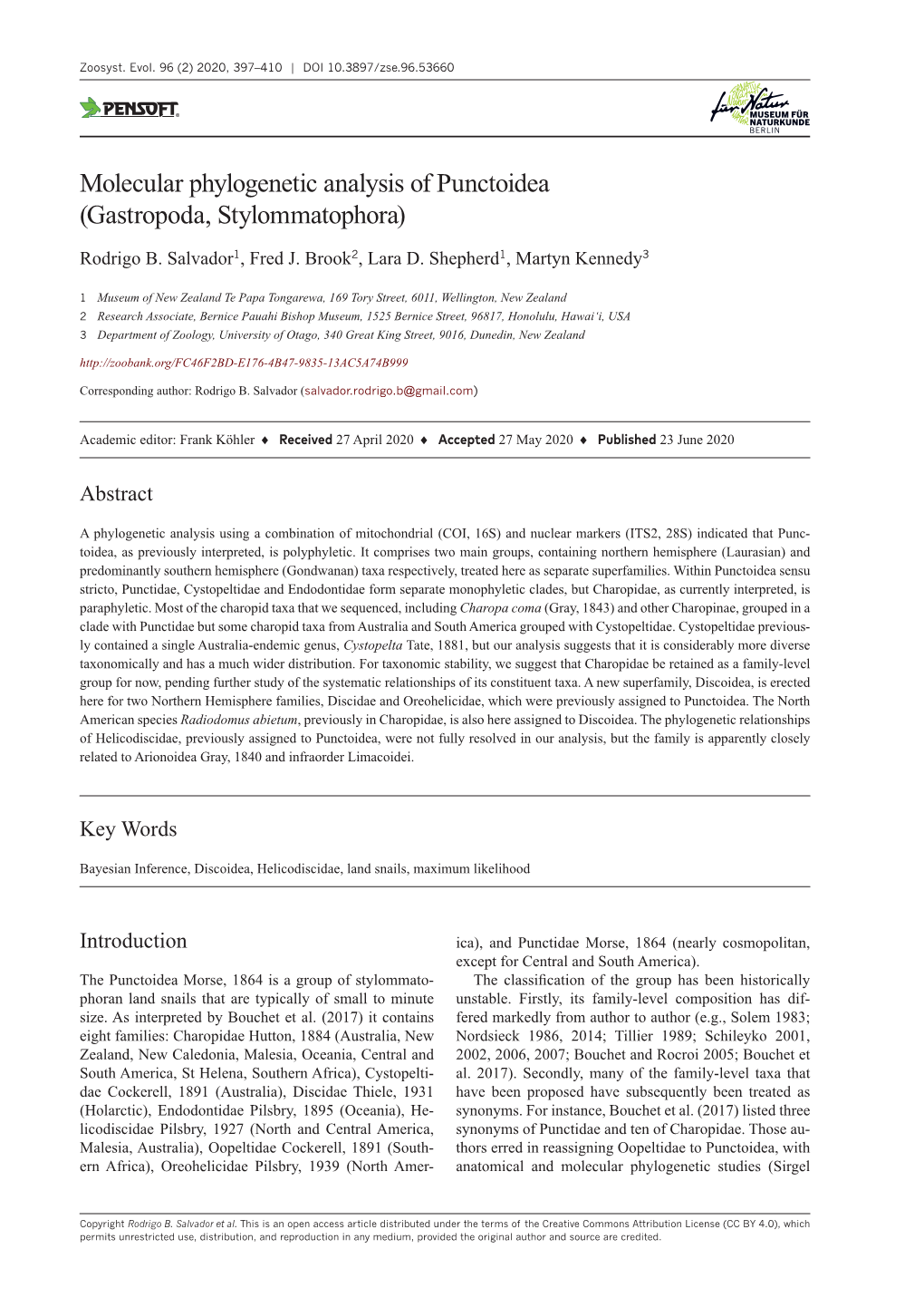 Molecular Phylogenetic Analysis of Punctoidea (Gastropoda, Stylommatophora)