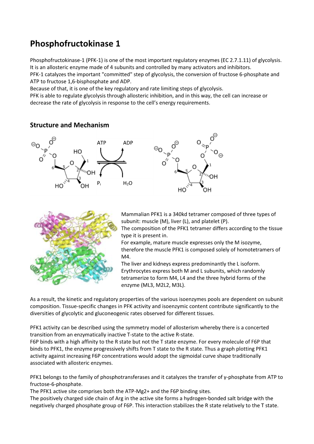 Phosphofructokinase 1