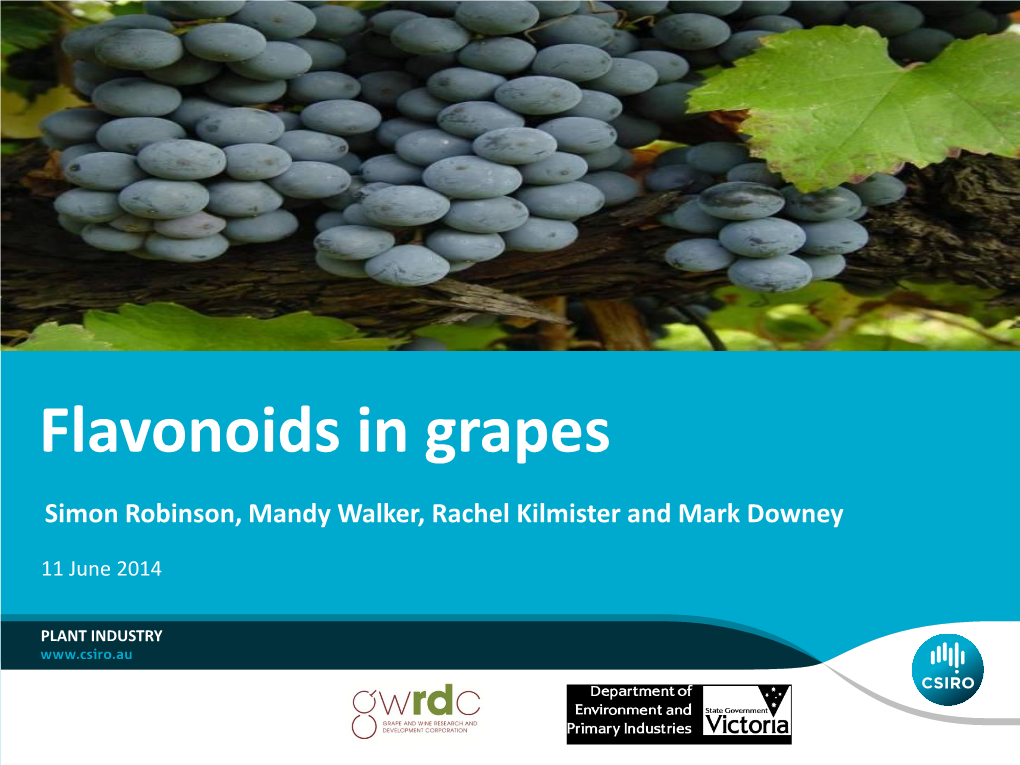 Flavonoids in Grapes