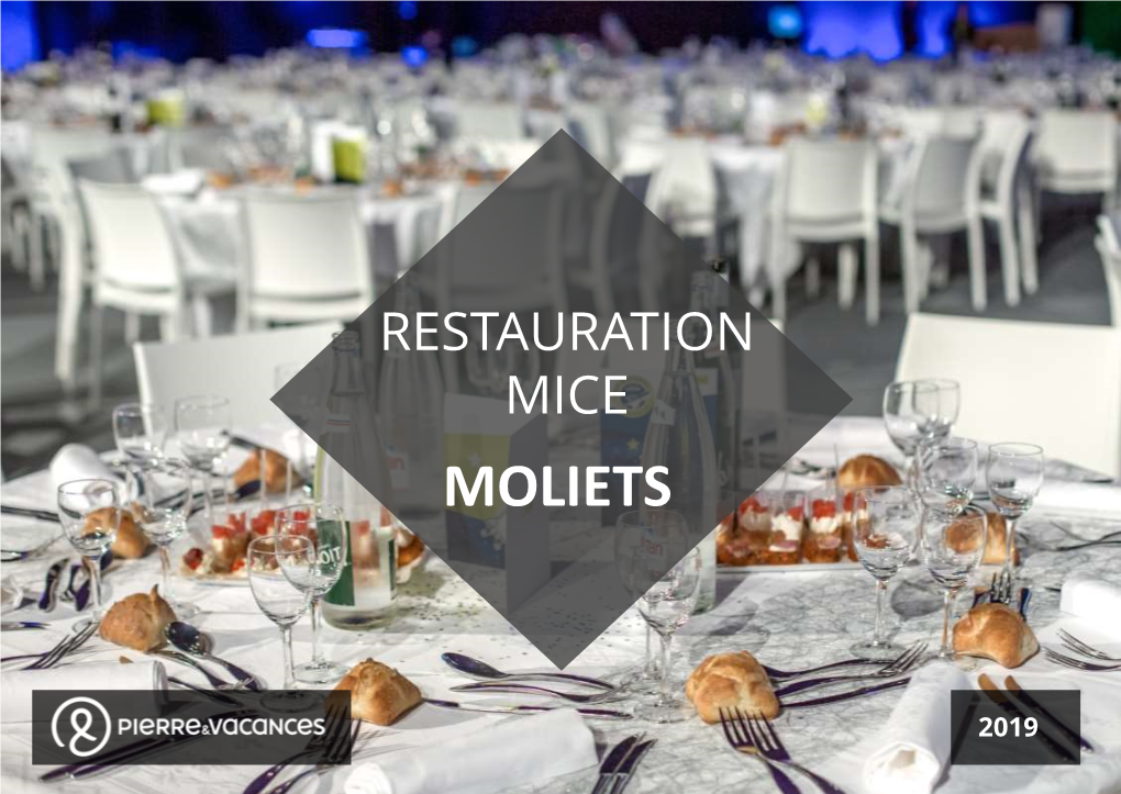 Restauration Mice Moliets