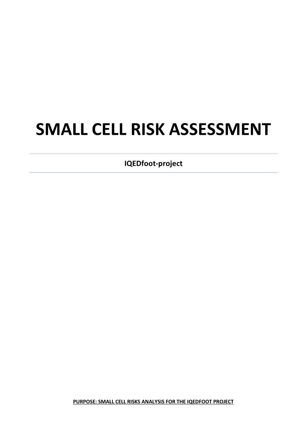 Small Cell Risk Assessment