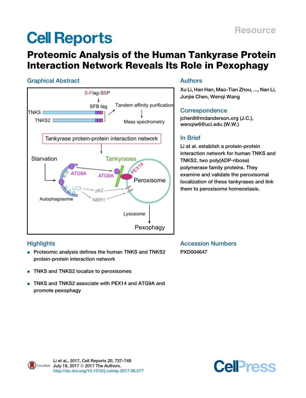Proteomic Analysis of the Human Tankyrase Protein Interaction Network Reveals Its Role in Pexophagy