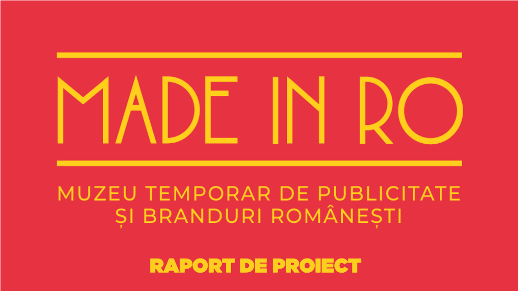 Raport De Proiect