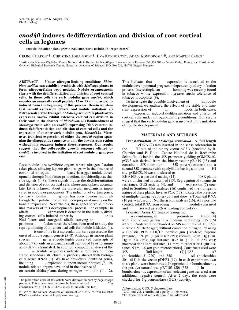 Enod40 Induces Dedifferentiation and Division of Root Cortical Cells in Legumes (Nodule Initiation͞plant Growth Regulator͞early Nodulin͞nitrogen Control)