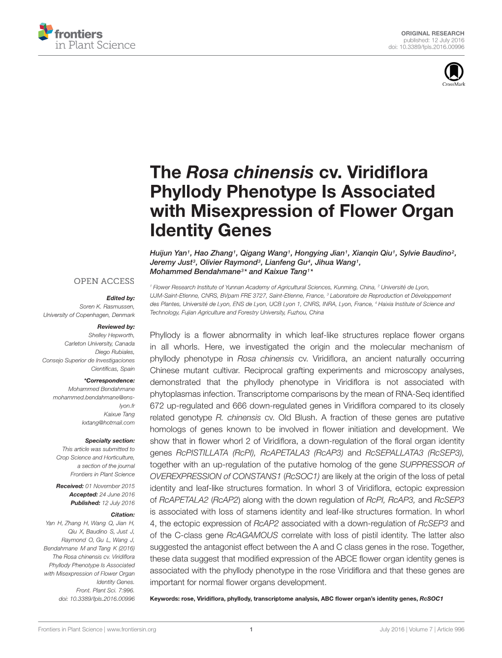 The Rosa Chinensis Cv. Viridiflora Phyllody Phenotype Is