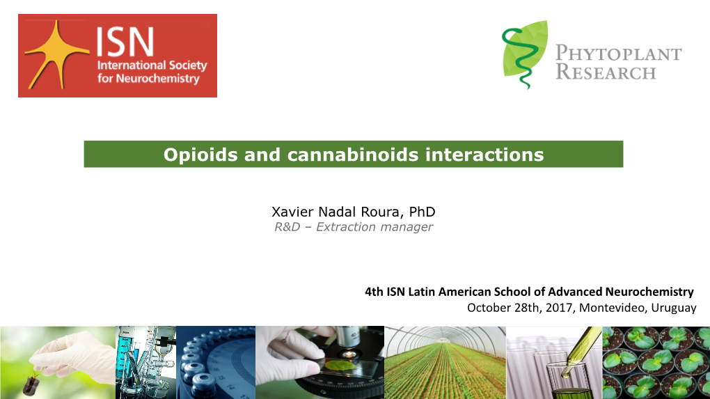 Opioid and Cannabinoid Interactions