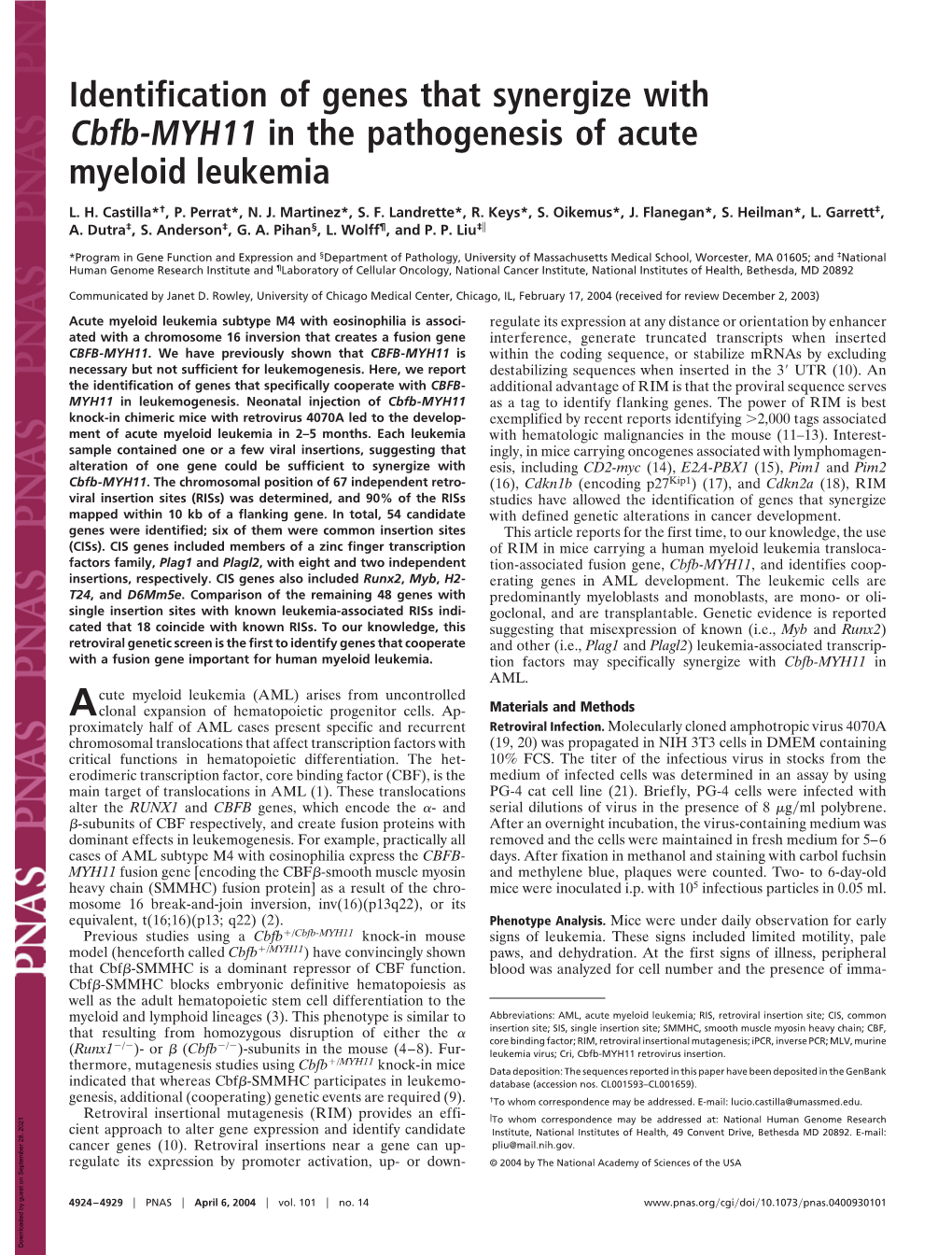 Identification of Genes That Synergize with Cbfb-MYH11 in the Pathogenesis of Acute Myeloid Leukemia
