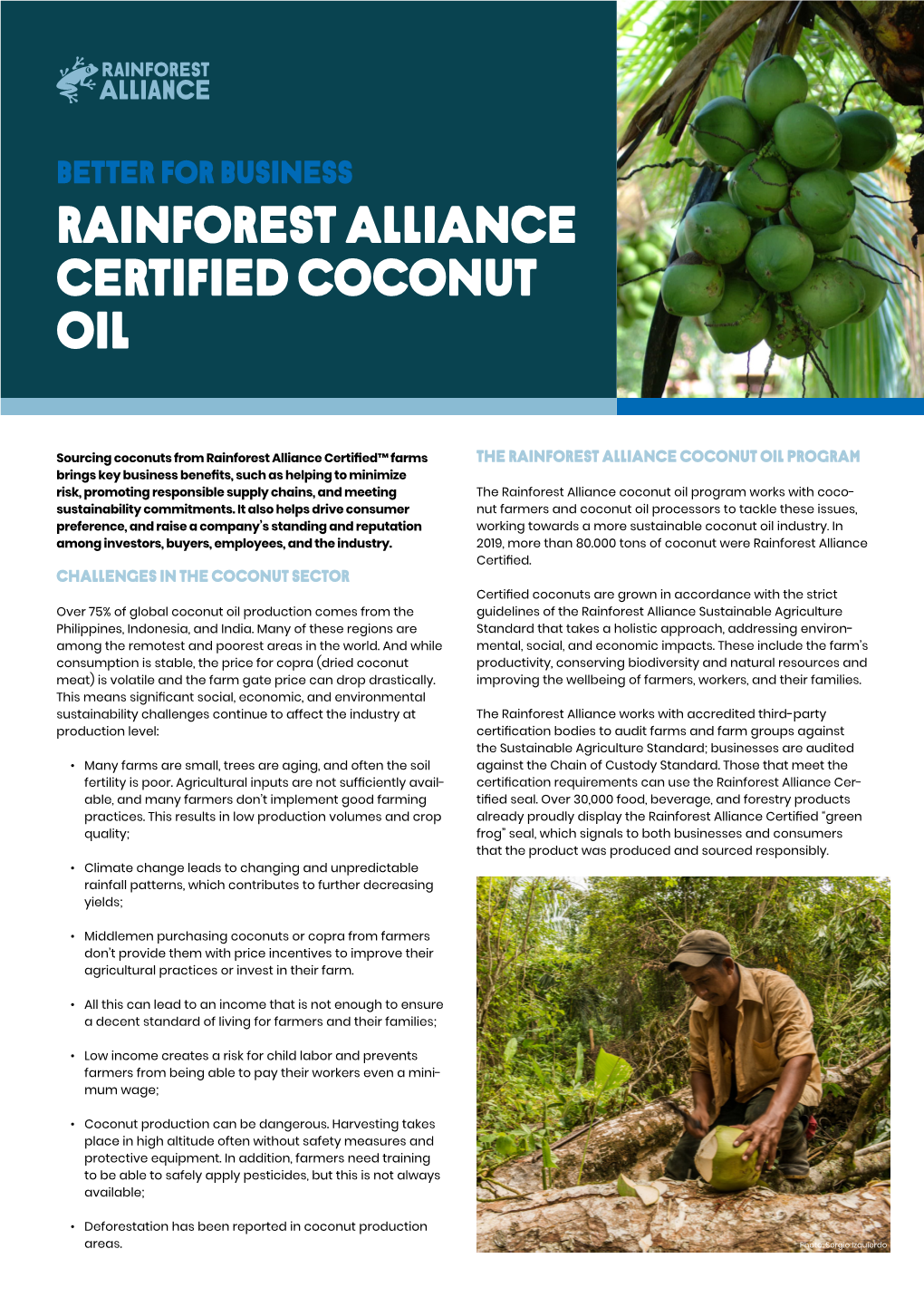 Rainforest Alliance Certified Coconut Oil