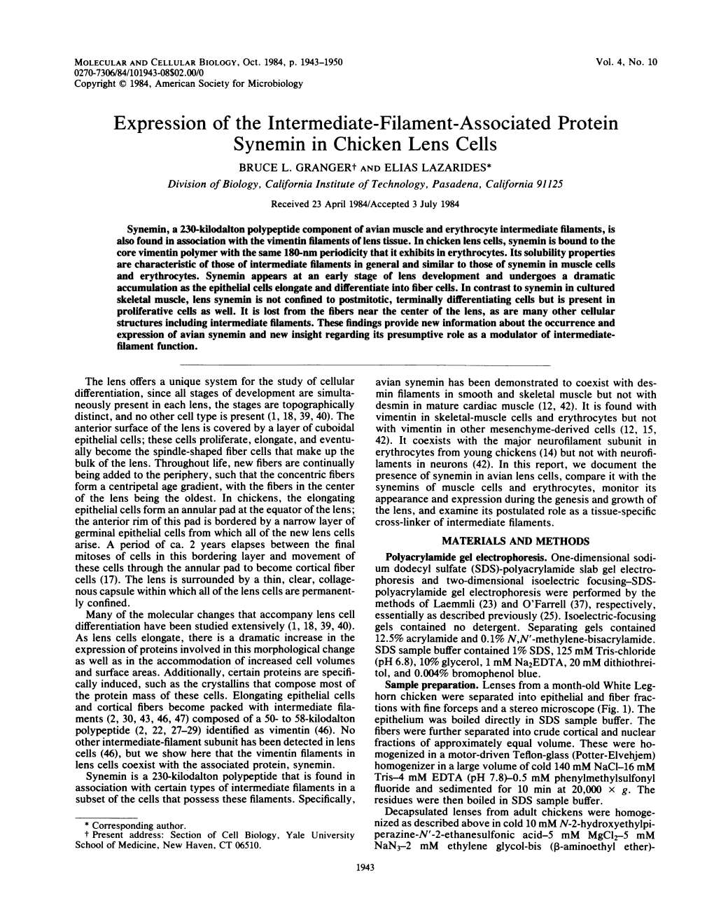 Expression of the Intermediate-Filament-Associated Protein Synemin in Chicken Lens Cells BRUCE L