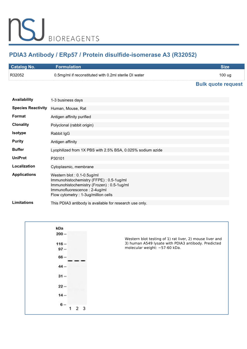PDIA3 Antibody / Erp57 (R32052)