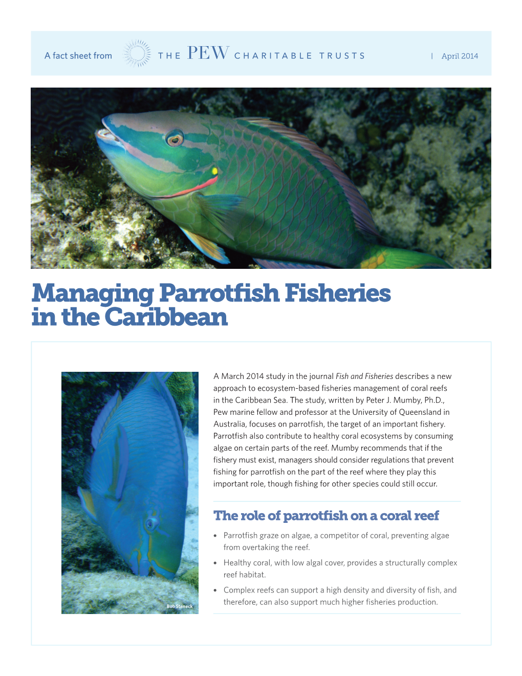 Managing Parrotfish Fisheries in the Caribbean