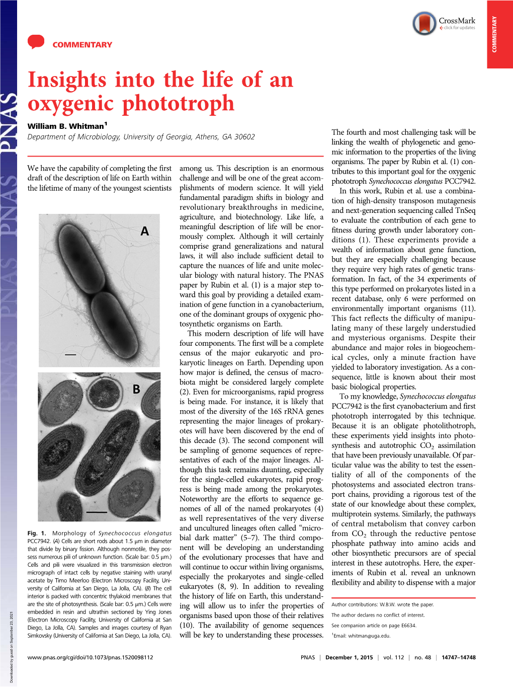 Insights Into the Life of an Oxygenic Phototroph William B