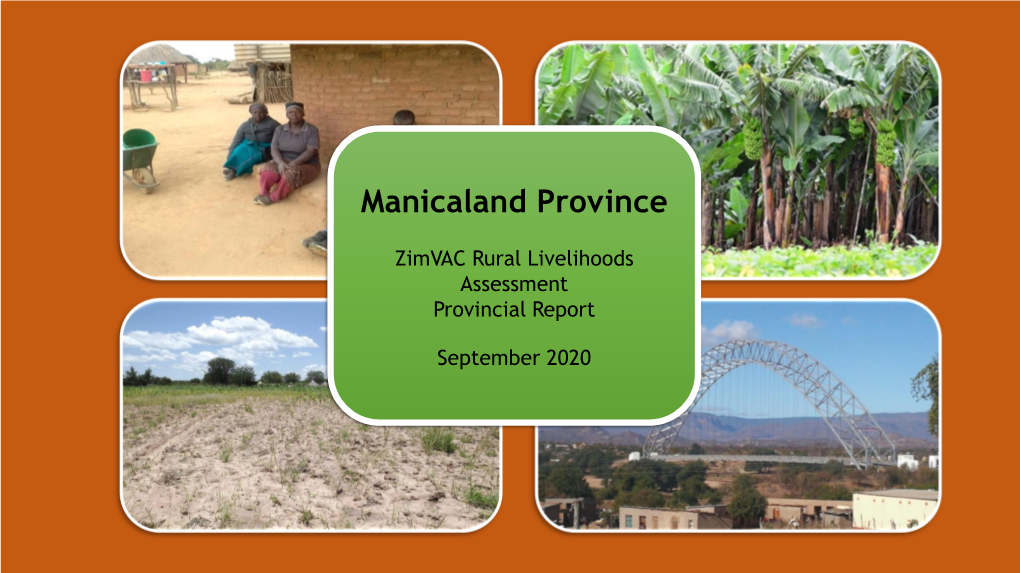 Zimvac Rural Livelihoods Assessment Provincial Report