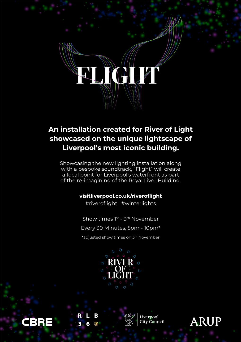 An Installation Created for River of Light Showcased on the Unique Lightscape of Liverpool’S Most Iconic Building