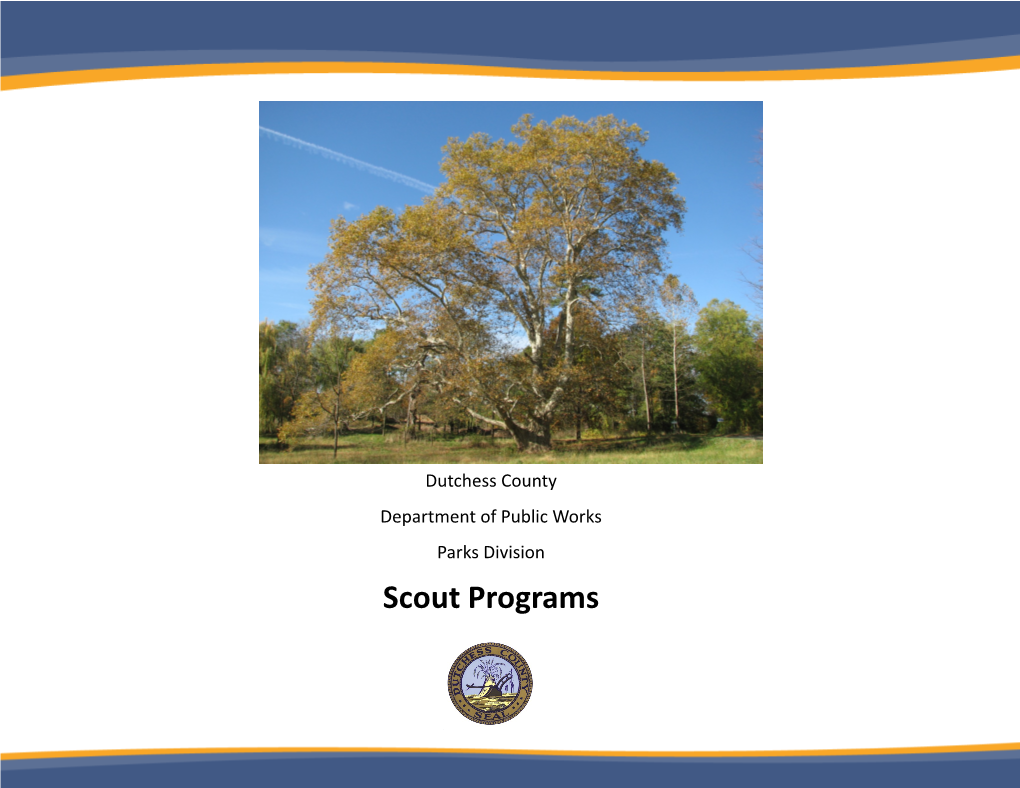 2021 Scout Program Brochure
