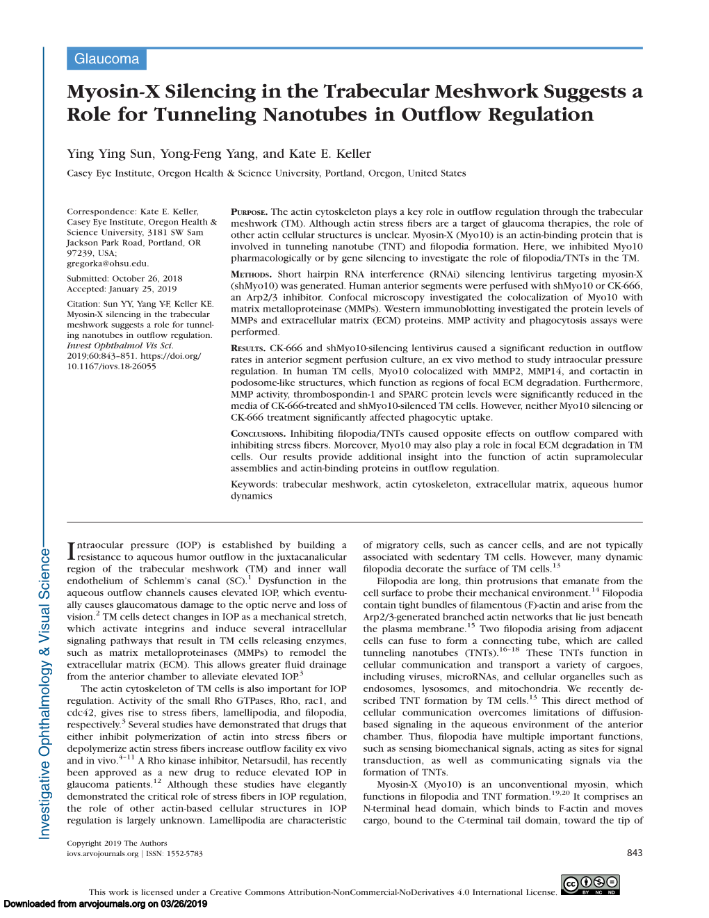 Myosin-X Silencing in the Trabecular Meshwork Suggests a Role for Tunneling Nanotubes in Outﬂow Regulation