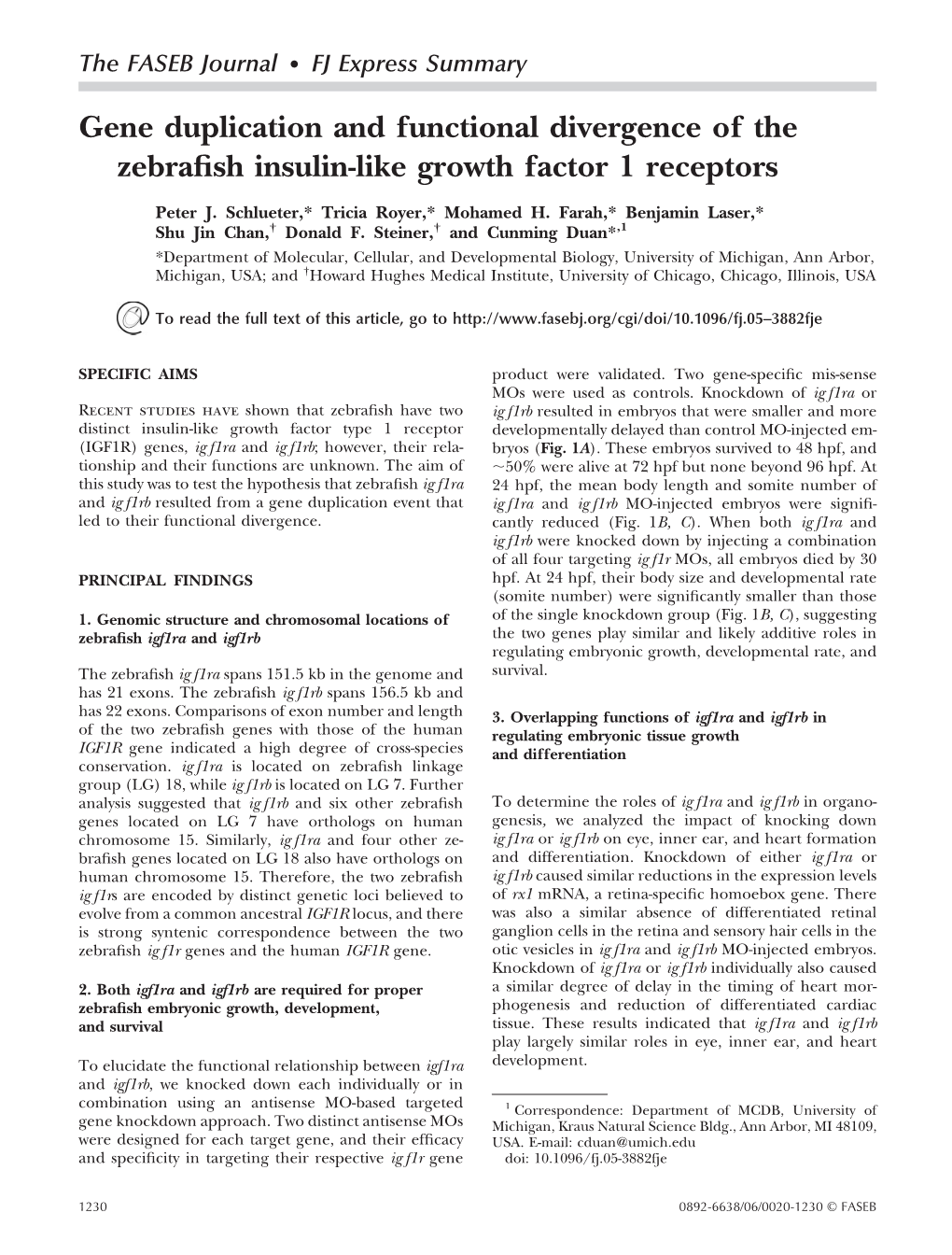 Gene Duplication and Functional Divergence of the Zebrafish Insulin&