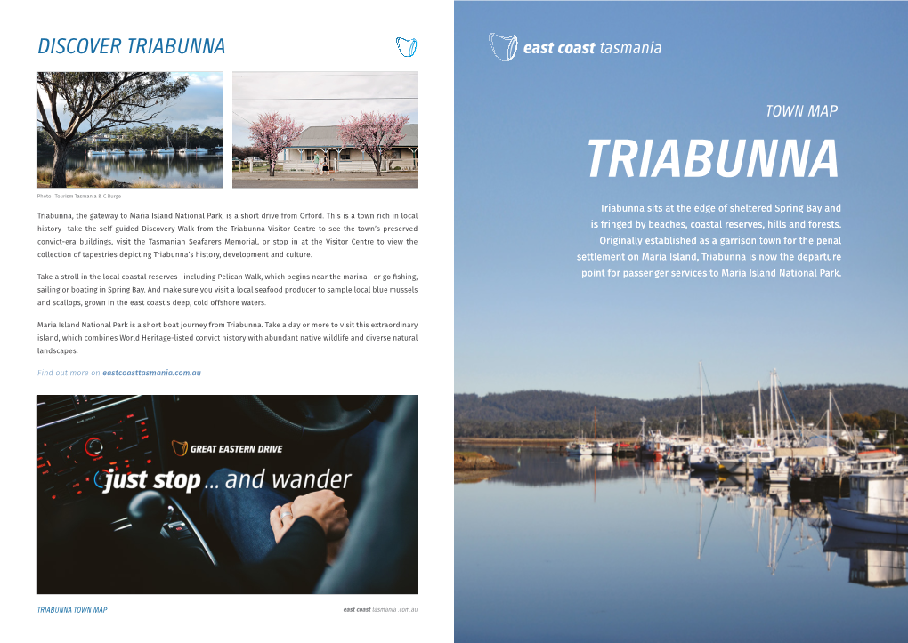 Triabunna Town