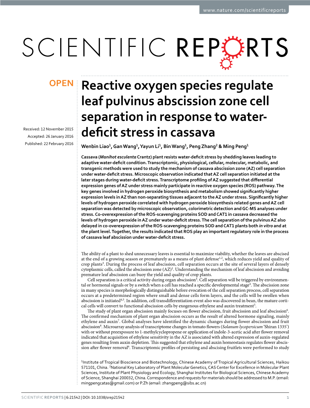 Reactive Oxygen Species Regulate Leaf Pulvinus Abscission Zone Cell