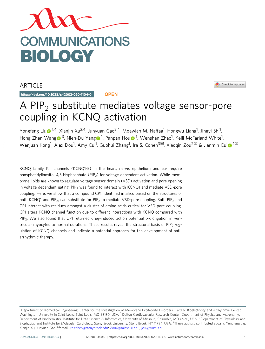 A PIP2 Substitute Mediates Voltage Sensor-Pore Coupling in KCNQ Activation