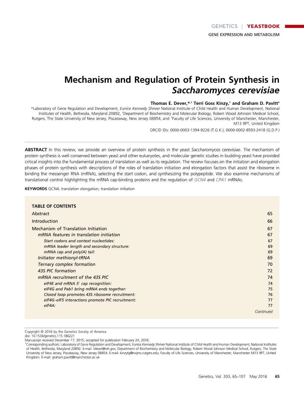 Mechanism and Regulation of Protein Synthesis in Saccharomyces Cerevisiae