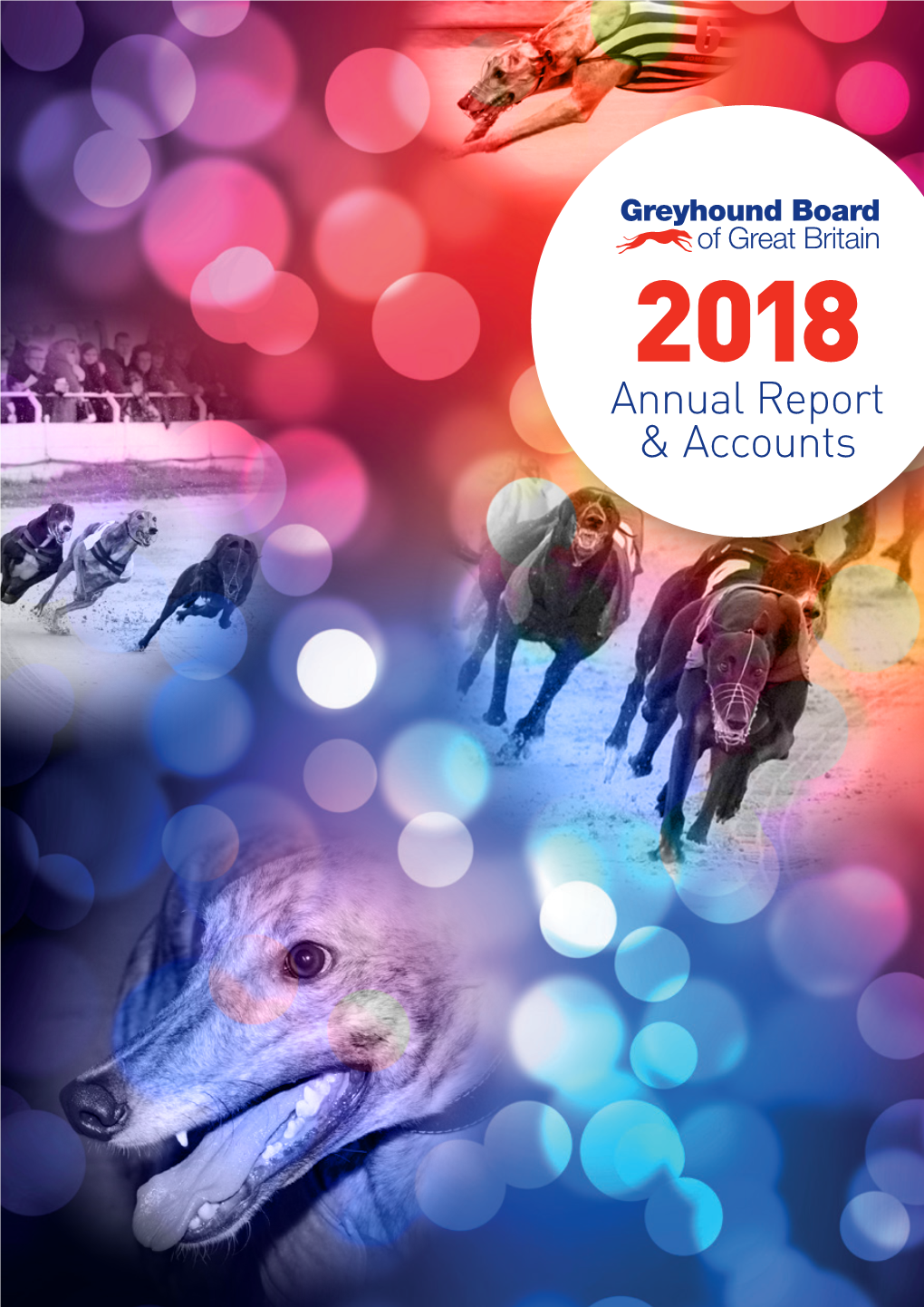 Annual Report & Accounts