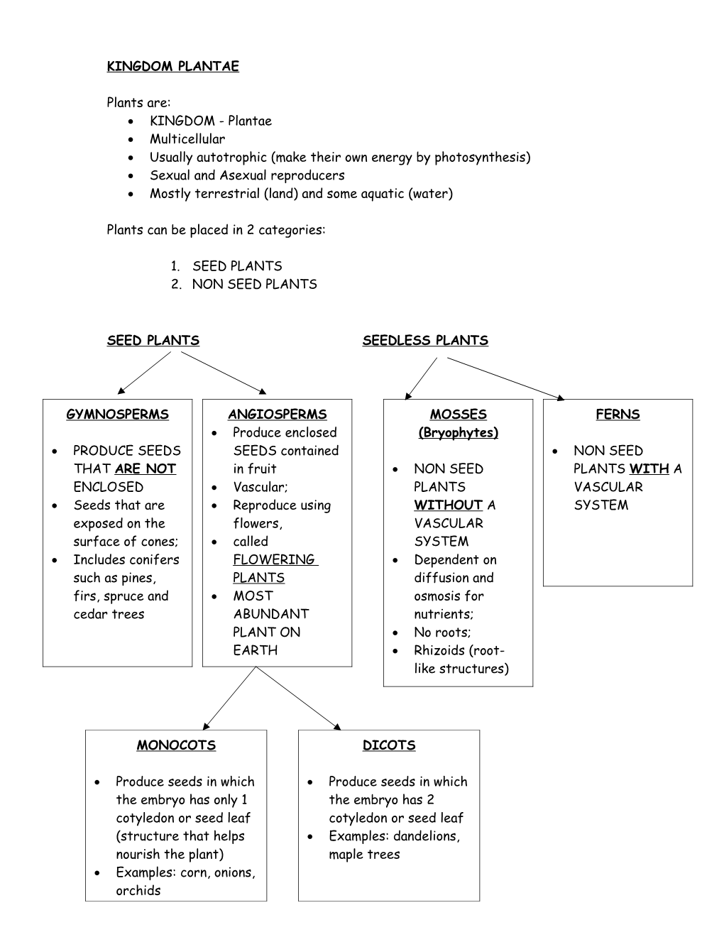 Biodiversity of Plants