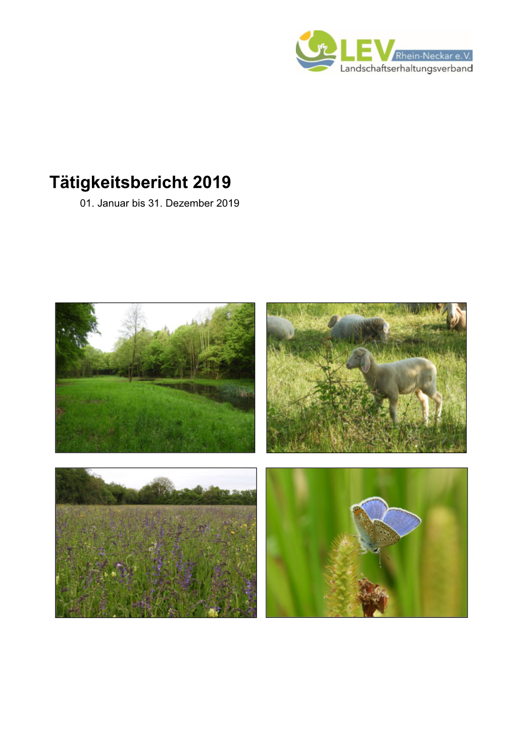 Tätigkeitsbericht 2019 01