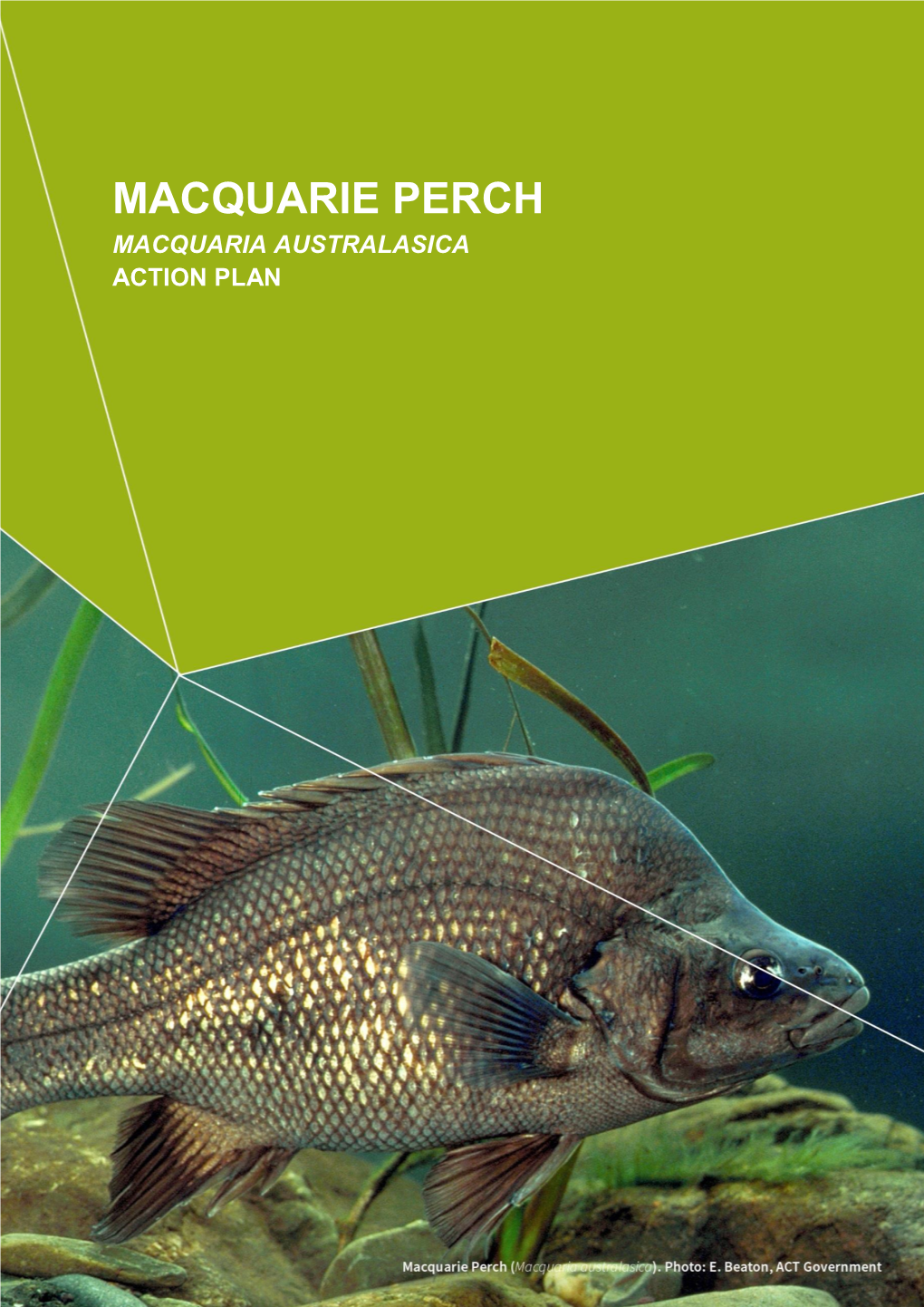 Macquarie Perch Macquaria Australasica Action Plan