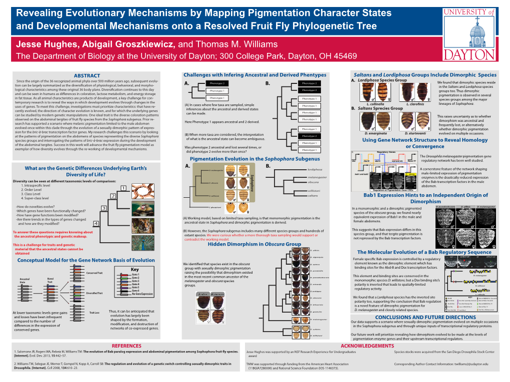 Revealing Evolutionary Mechanisms by Mapping Pigmentation Character States and Developmental Mechanisms Onto a Resolved Fruit Fl