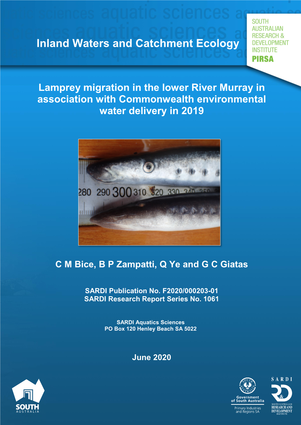 Lamprey Migration in the Lower River Murray in Association with Commonwealth Environmental Water Delivery in 2019