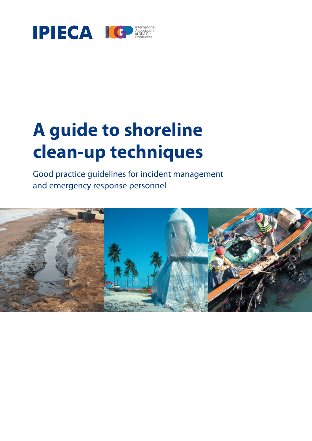 A Guide to Shoreline Clean-Up Techniques