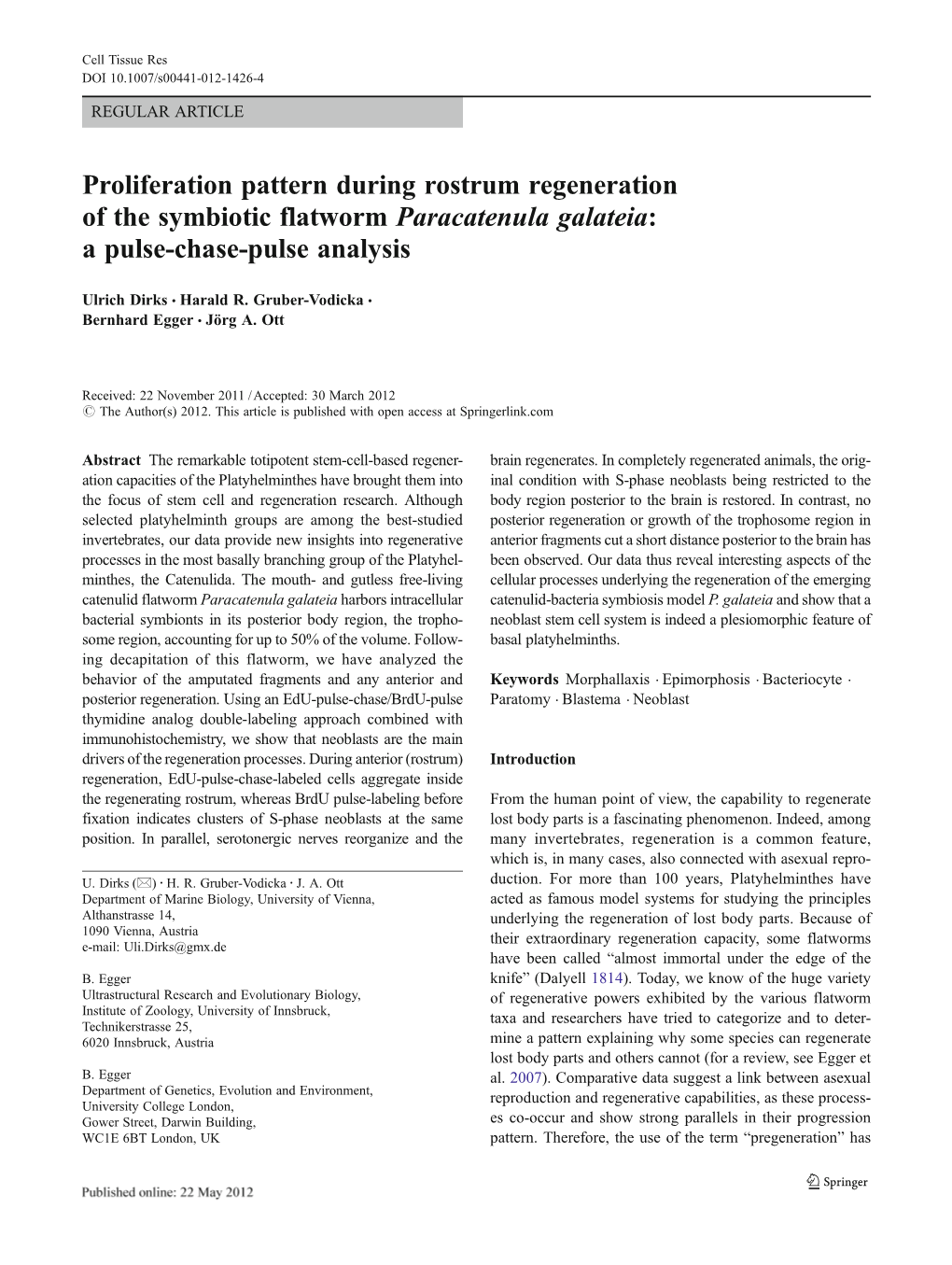 Proliferation Pattern During Rostrum Regeneration of the Symbiotic Flatworm Paracatenula Galateia: a Pulse-Chase-Pulse Analysis