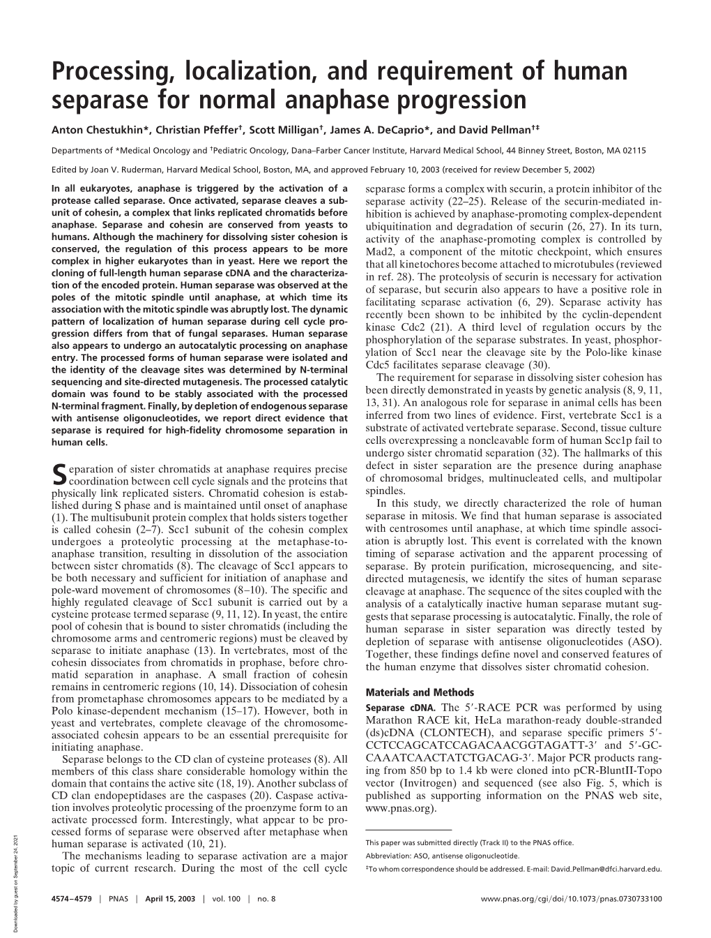 Processing, Localization, and Requirement of Human Separase for Normal Anaphase Progression