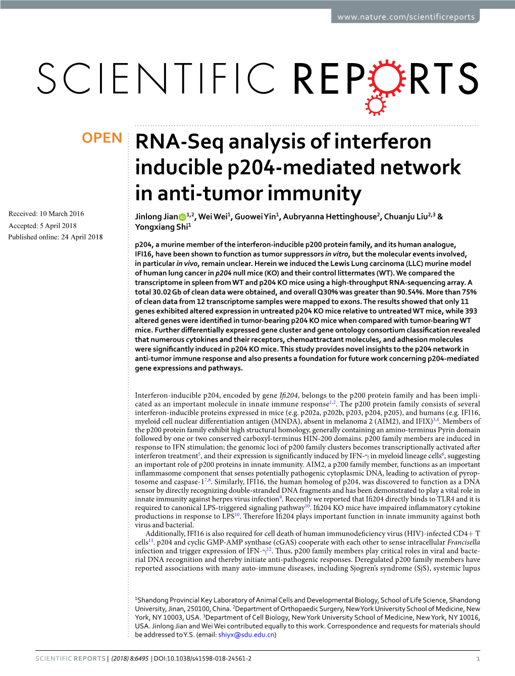 RNA-Seq Analysis of Interferon Inducible P204-Mediated Network In