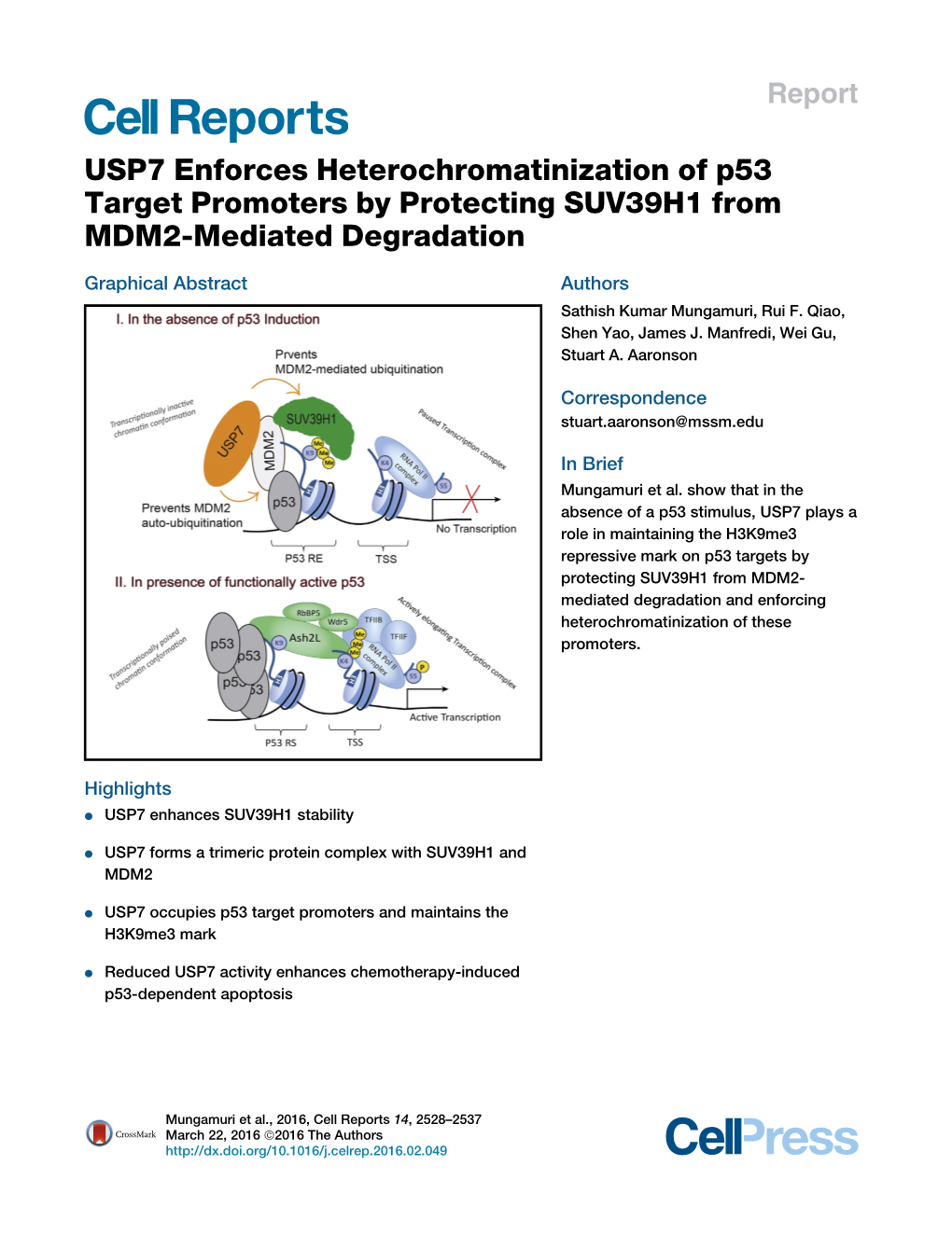 USP7 Enforces Heterochromatinization of P53 Target Promoters by Protecting SUV39H1 from MDM2-Mediated Degradation