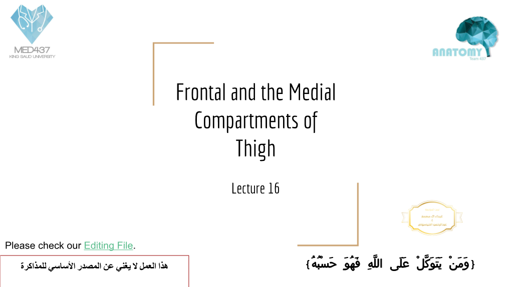 Frontal and the Medial Compartments of Thigh