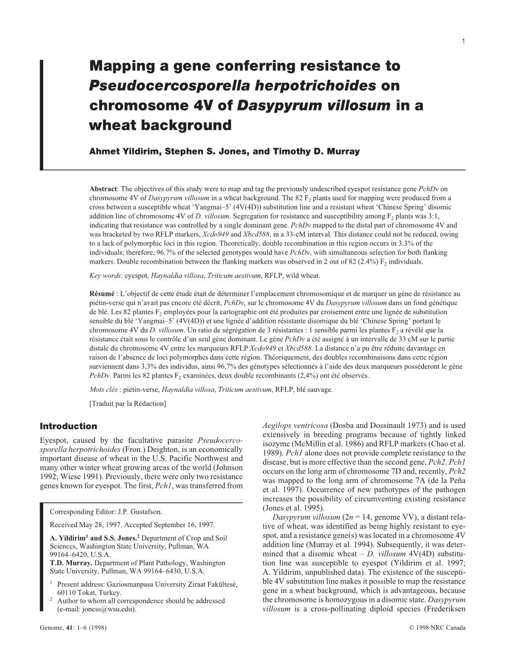 Mapping a Gene Conferring Resistance to Pseudocercosporella Herpotrichoides on Chromosome 4V of Dasypyrum Villosum in a Wheat Background