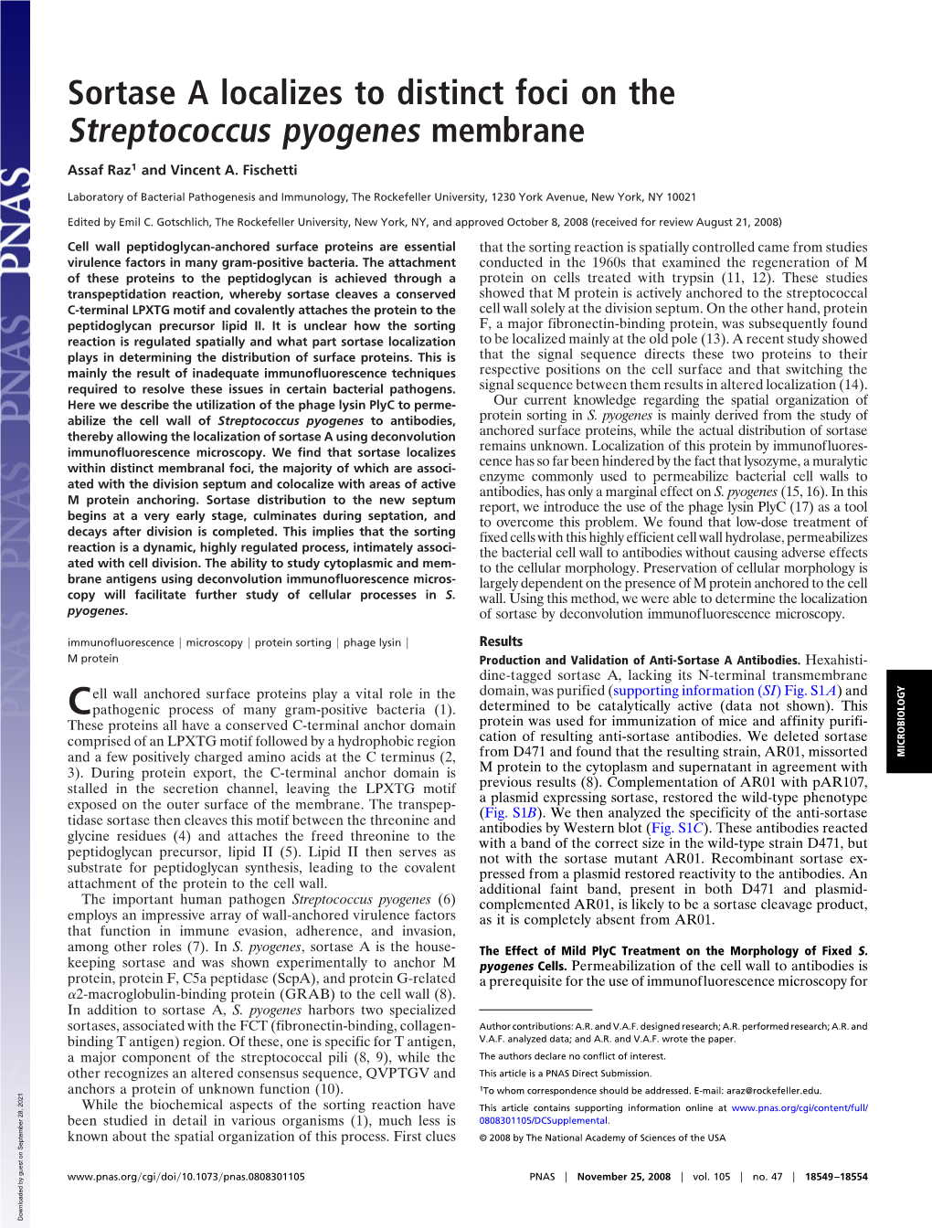 Sortase a Localizes to Distinct Foci on the Streptococcus Pyogenes Membrane