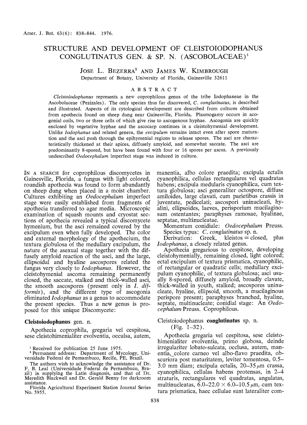 Structure and Development of Cleistoiodophanus Conglutinatus Gen