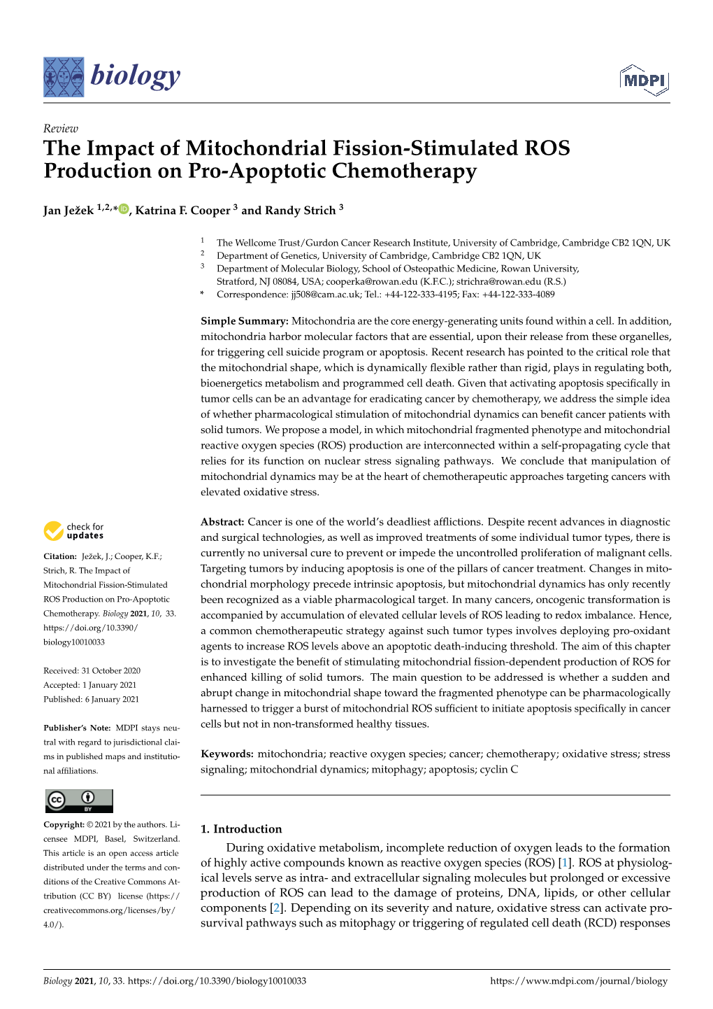 The Impact of Mitochondrial Fission-Stimulated ROS Production on Pro-Apoptotic Chemotherapy