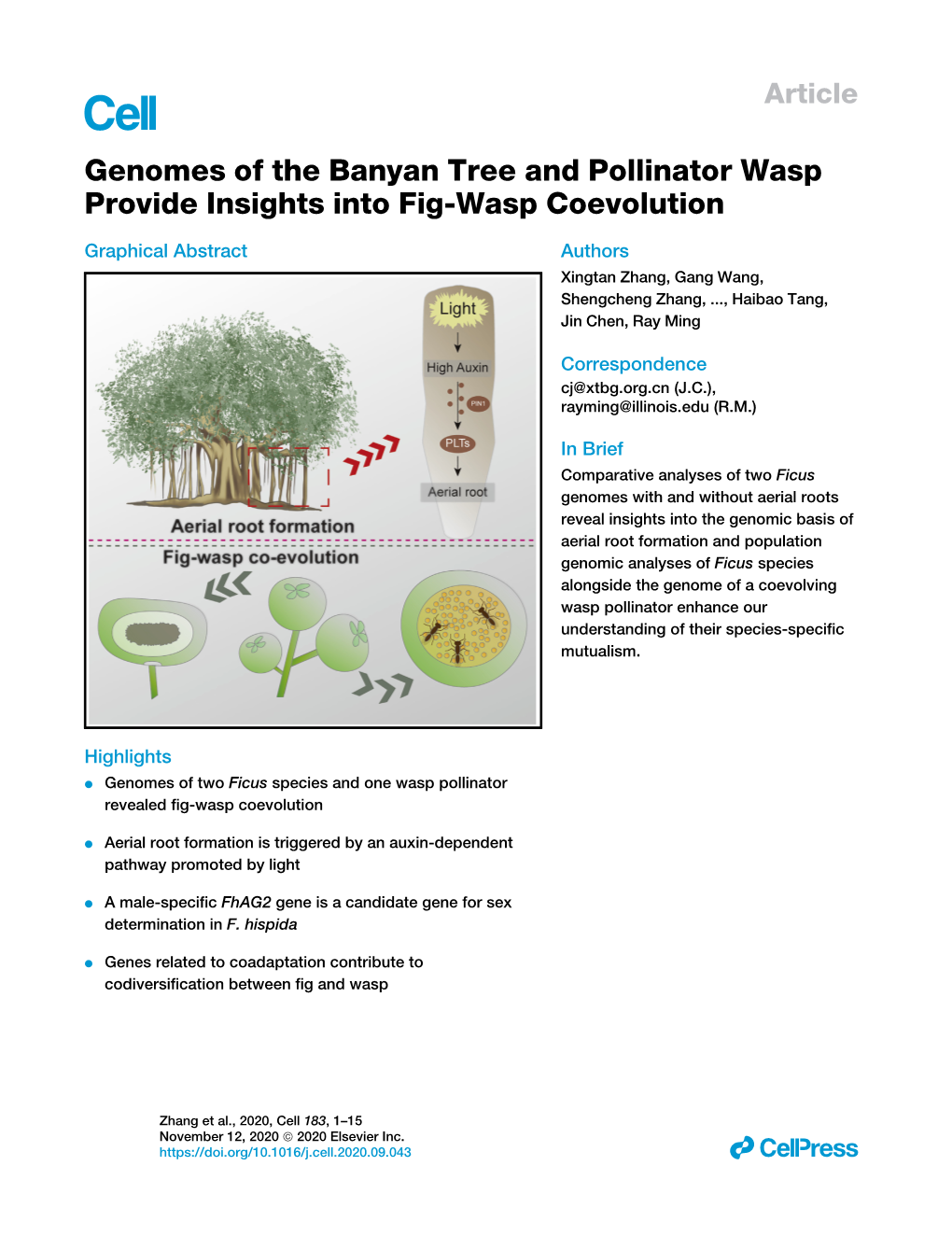 Genomes of the Banyan Tree and Pollinator Wasp Provide Insights Into Fig-Wasp Coevolution