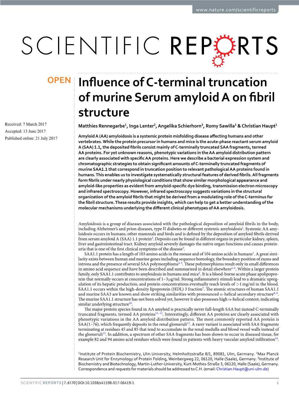 Influence of C-Terminal Truncation of Murine Serum Amyloid a on Fibril