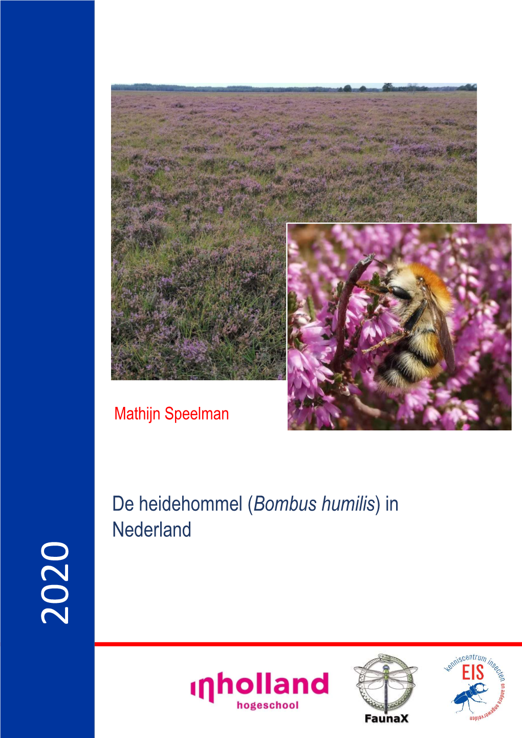 De Heidehommel (Bombus Humilis) In