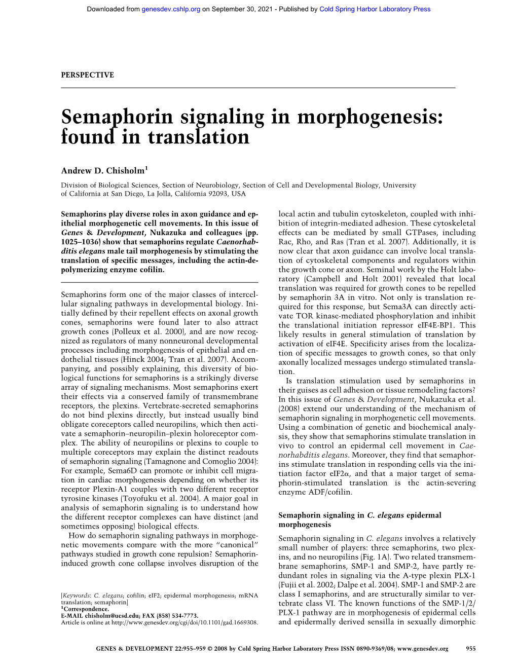 Semaphorin Signaling in Morphogenesis: Found in Translation