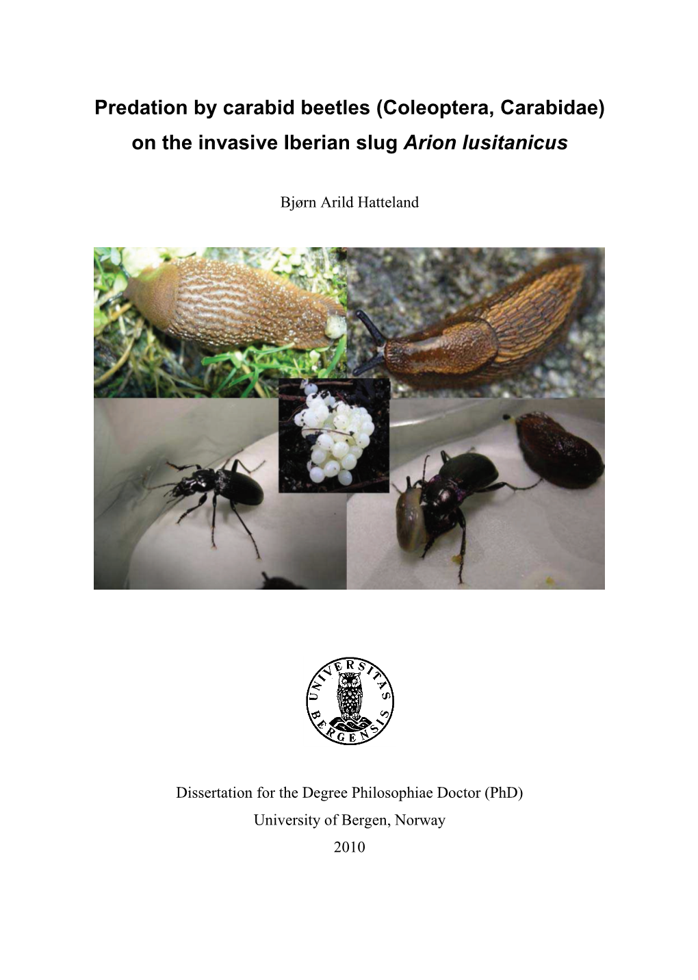 (Coleoptera, Carabidae) on the Invasive Iberian Slug Arion Lusitanicus