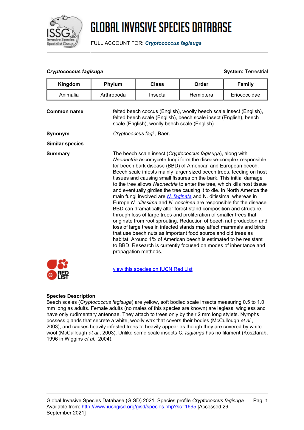 Cryptococcus Fagisuga Global Invasive Species Database (GISD)